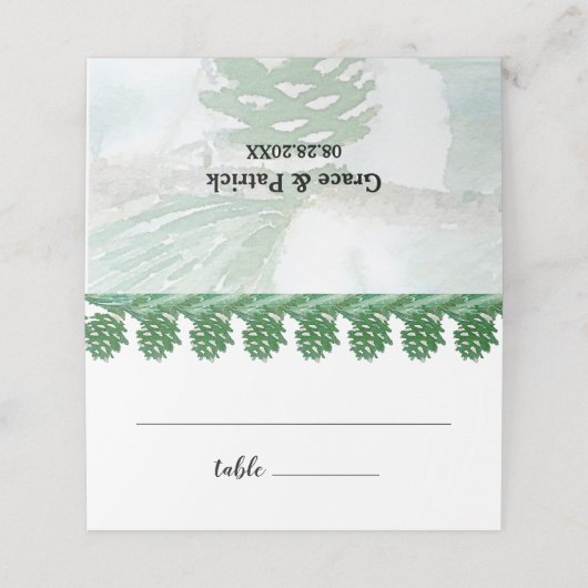 緑の淡い色の冬の松の円錐水色 プレイスカード (外部開封)