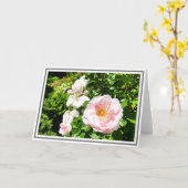 緑の淡い色の葉を持つピンクのバラの写真 カード (黄色い花)