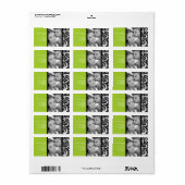 緑の渦巻写真住所 シール (フルシート)