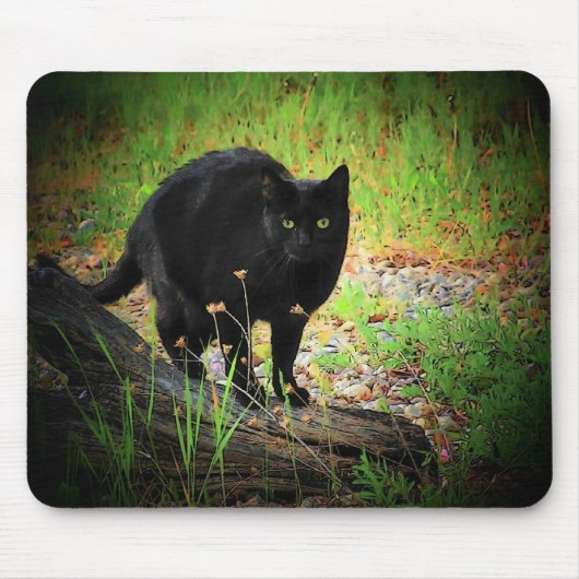 緑の湾曲した黒猫のブラック マウスパッド (正面)