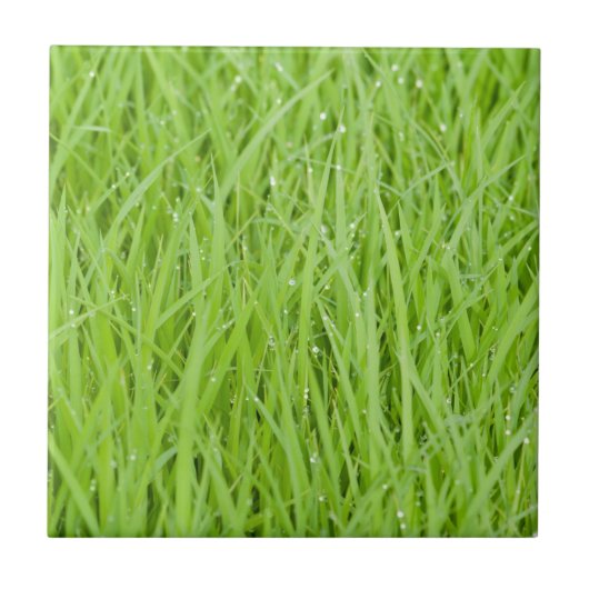 緑の湿った草のデザイン タイル (正面)