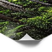 緑の滝の聖域 ポスター (コーナー)