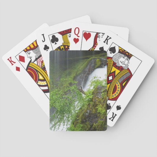 緑の滝名勝 トランプ (裏面)