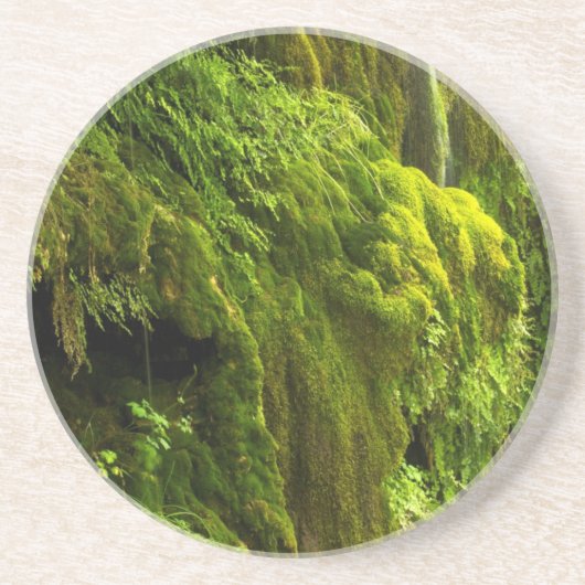 緑の滝 コースター (正面)