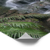 緑の滝 ポスター (角)