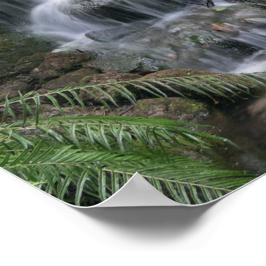 緑の滝 ポスター (角)