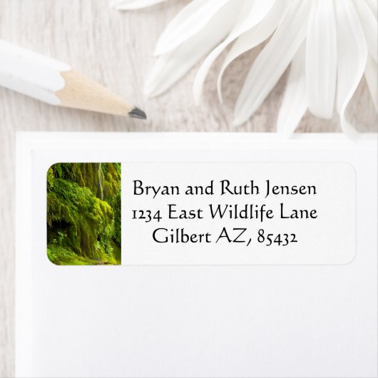 緑の滝 ラベル (インサイチュ)