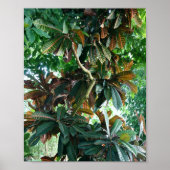 緑の熱帯ジャングル ポスター (正面)