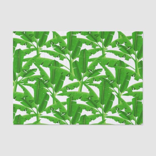 緑の熱帯性ヤシの木 薄葉紙 (正面)