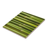 緑の熱帯竹植物 タイル (側面)