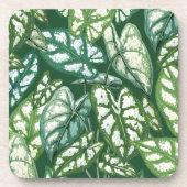 緑の熱帯葉産型 コースター (正面)