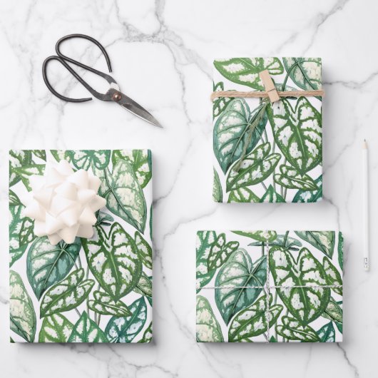 緑の熱帯葉産型 ラッピングペーパーシート (正面)
