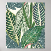 緑の熱帯葉 ポスター (正面)