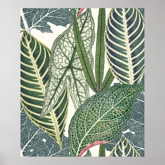 緑の熱帯葉 ポスター (正面)
