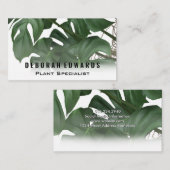 緑の熱帯離れ | モンステラ 名刺 (正面/裏面)