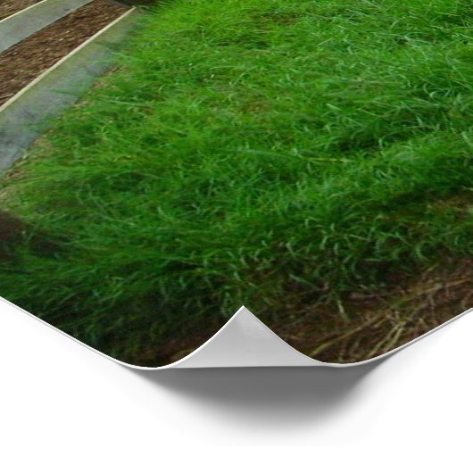 緑の牧場 ポスター (角)