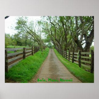 緑の牧場 ポスター