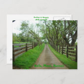 緑の牧場 ポストカード (正面/裏面)