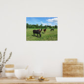 緑の牧草地で放牧する馬 ポスター (キッチン)