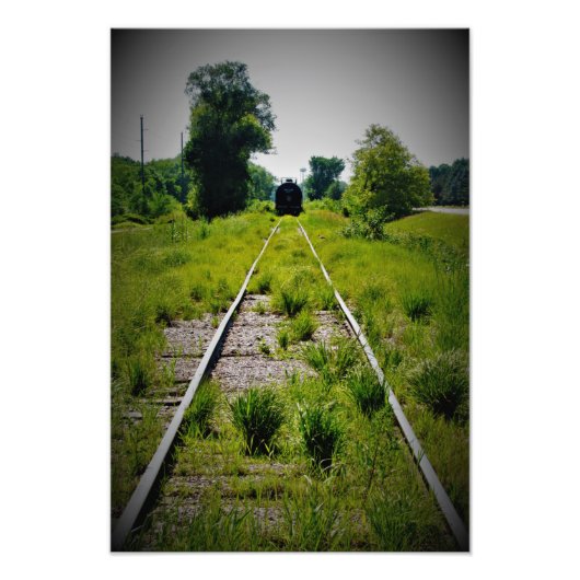 「緑の牧草地にふける」 フォトプリント            (正面)