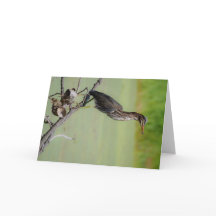 緑の狩人：緑のアオサギが時計を