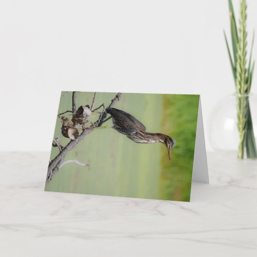 緑の狩人：緑のアオサギが時計を カード (正面)