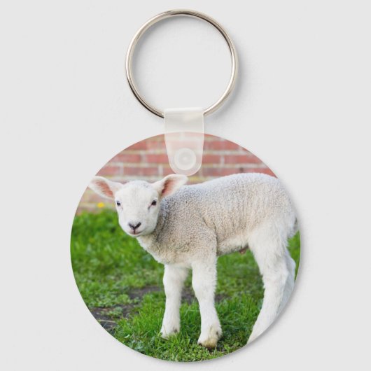 緑の生まれたばかりの草の中に立つ白い子羊 キーホルダー (正面)