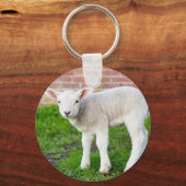 緑の生まれたばかりの草の中に立つ白い子羊 キーホルダー (正面)