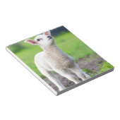 緑の生まれたばかりの草の中に立つ白い子羊 ノートパッド (アングル)