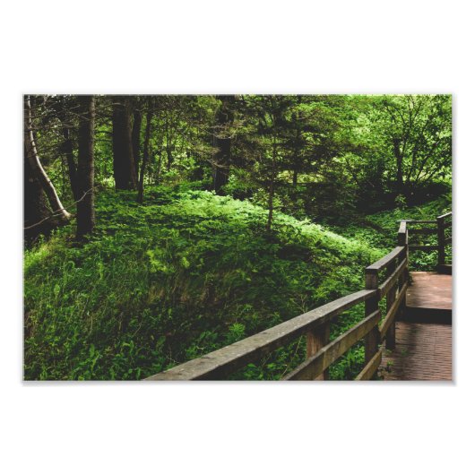 緑の田舎への階段 フォトプリント            (正面)