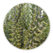 緑の番人：サボテンのいばらの威厳 セラミックノブ (正面)