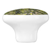 緑の番人：サボテンのいばらの威厳 セラミックノブ (側面)