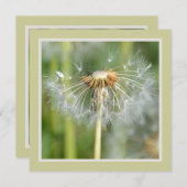 緑の白いタンポポ花ベビーシャワー 招待状 (正面/裏面)