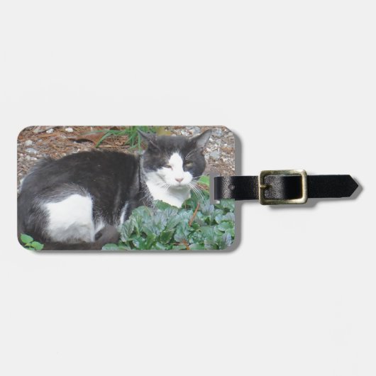 緑の白黒猫 ラゲッジタグ (正面横)
