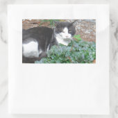 緑の白黒猫 長方形シール (バッグ)