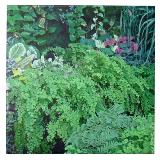 緑の百景は美しい タイル (正面)