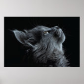 緑の目で愛らしい灰色の子猫 ポスター (正面)