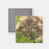 緑の目のハンター マグネット (正面/裏面)