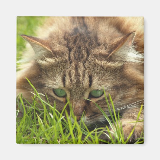 緑の目のハンター マグネット (正面)