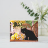 緑の目の子猫の静物生活 ポストカード (スタンド正面)