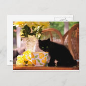 緑の目の子猫の静物生活 ポストカード (正面/裏面)