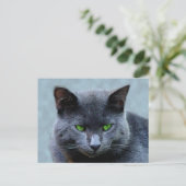 緑の目の猫はがき ポストカード (スタンド正面)
