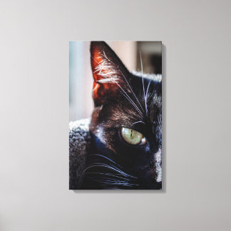 緑の目をした黒猫のキャンバスプリント キャンバスプリント