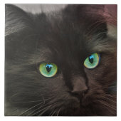 緑の瞳のポートレートを持つ黒猫 タイル (正面)