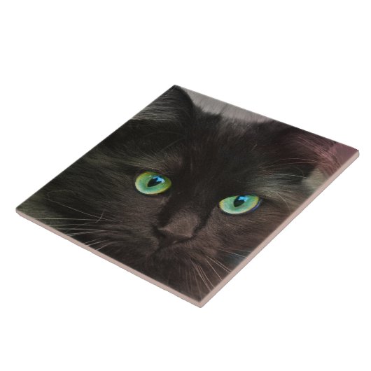 緑の瞳のポートレートを持つ黒猫 タイル (側面)