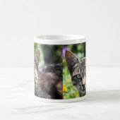 緑の瞳を持つ灰色のストライプな猫 コーヒーマグカップ (中央)