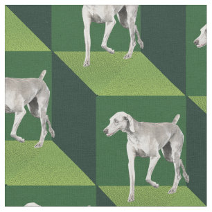 緑の立方体のWeimaraner ファブリック