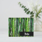 緑の竹茎の自然写真 – Hello ポストカード (スタンド正面)