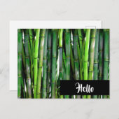 緑の竹茎の自然写真 – Hello ポストカード (正面/裏面)