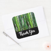 緑の竹茎自然撮影ありがとう スクエアシール (封筒)